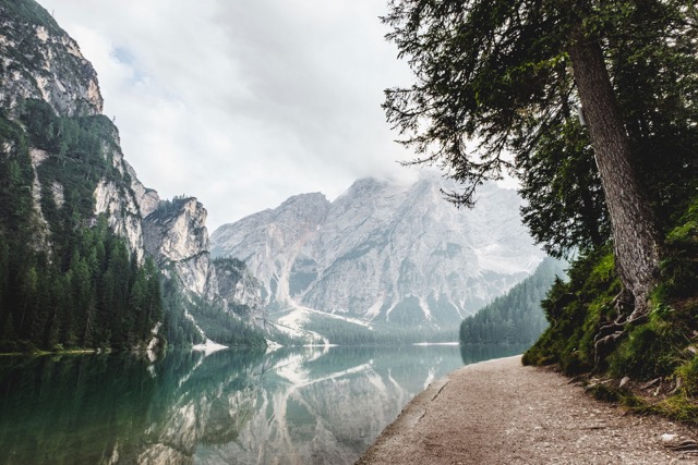 Foggy lake